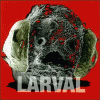 Larval
