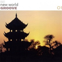System Recordings New World Groove