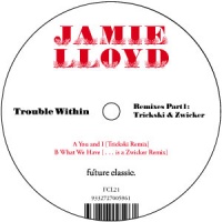 Trouble Within Remixes Part 1 (WEB)